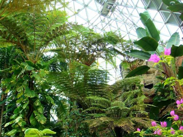 新潟県立植物園