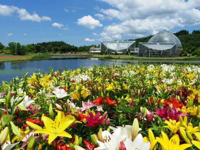 新潟県立植物園
