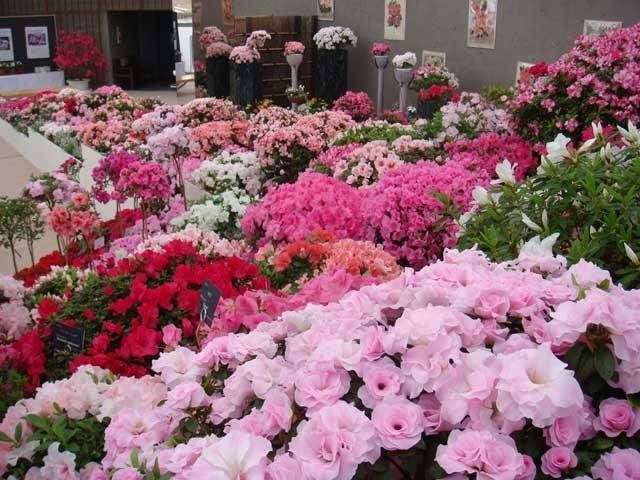 新潟県立植物園