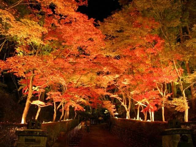 松雲山荘の紅葉の画像 1枚目