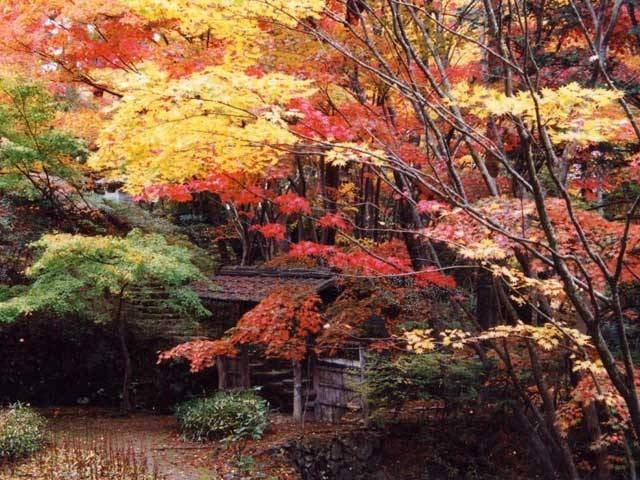 松雲山荘の紅葉の画像 2枚目