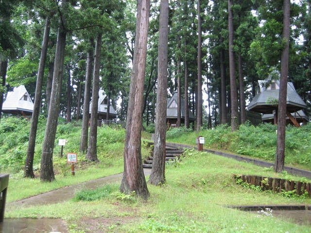 長岡市うまみち森林公園