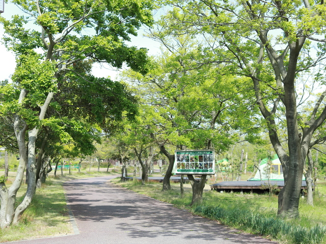 海辺の森キャンプ場の画像 2枚目