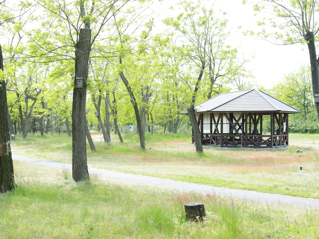 海辺の森キャンプ場の画像 1枚目