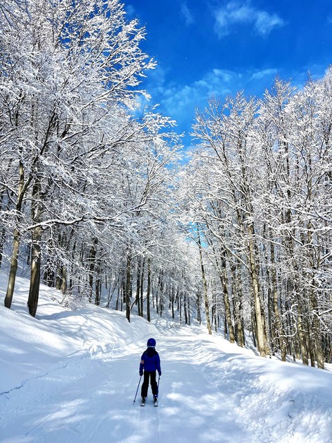 糸魚川シーサイドバレースキー場の画像 1枚目