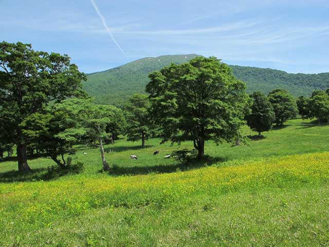 妙高高原の画像 1枚目