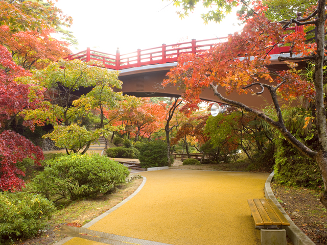弥彦公園もみじ谷の画像 1枚目