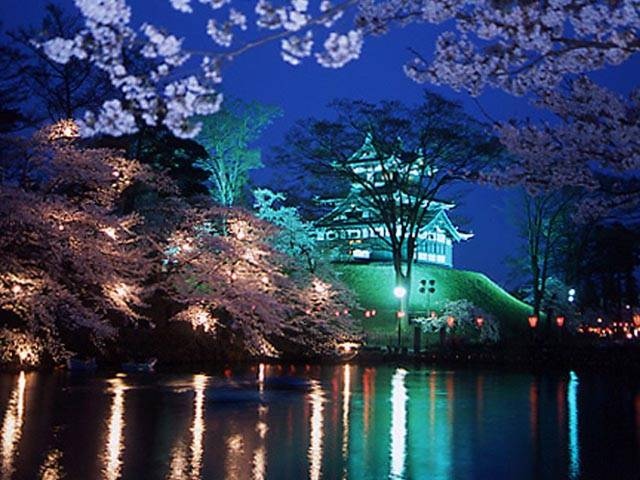 高田城址公園の桜