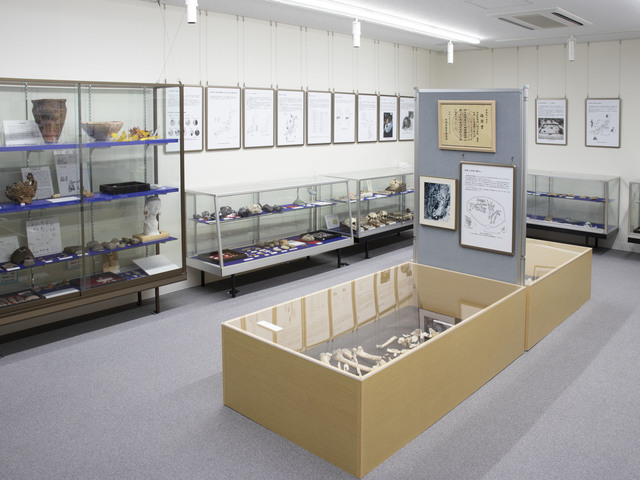 新潟大学旭町学術資料展示館の画像 2枚目
