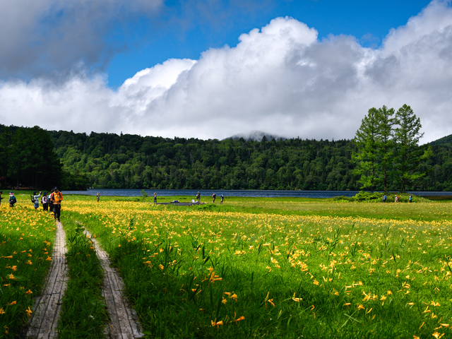 尾瀬国立公園(新潟県)の画像 4枚目