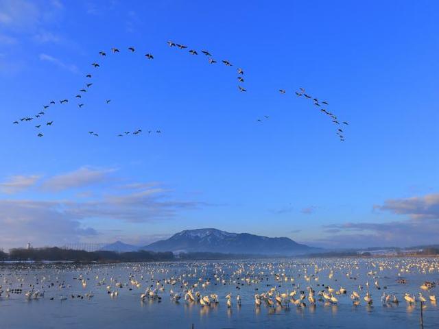 佐潟公園の画像 1枚目