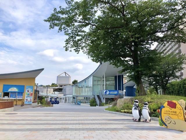 しながわ水族館の画像 2枚目