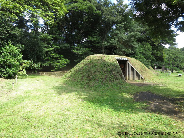 浜離宮恩賜庭園の画像 4枚目