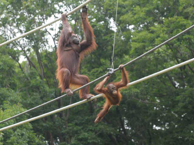 東京都多摩動物公園