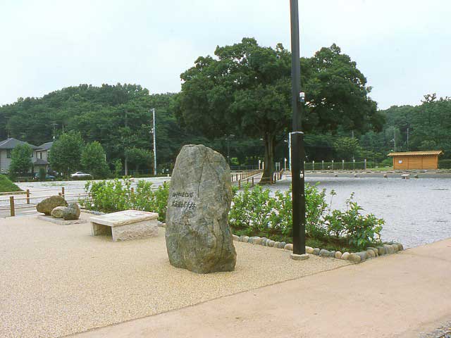 市立歴史公園 武蔵国分尼寺跡