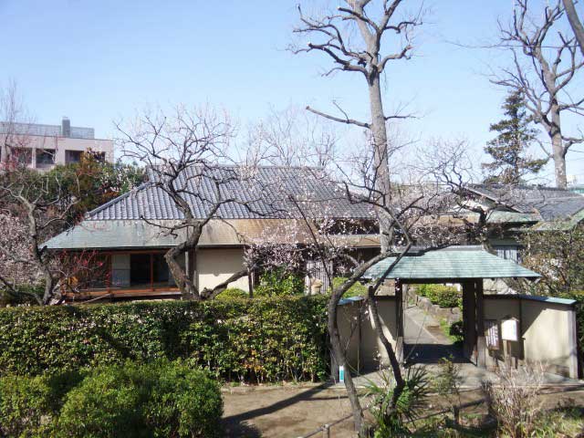 羽根木公園の画像 1枚目