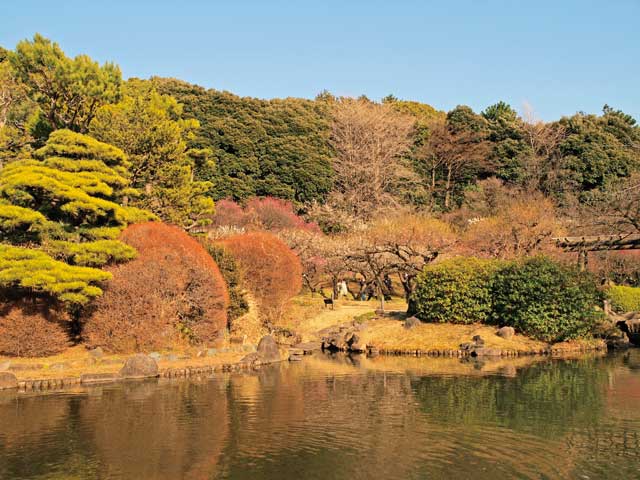 東京大学大学院理学系研究科附属植物園