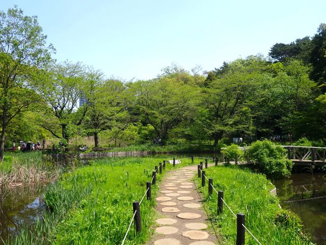 国立科学博物館附属自然教育園の画像 3枚目