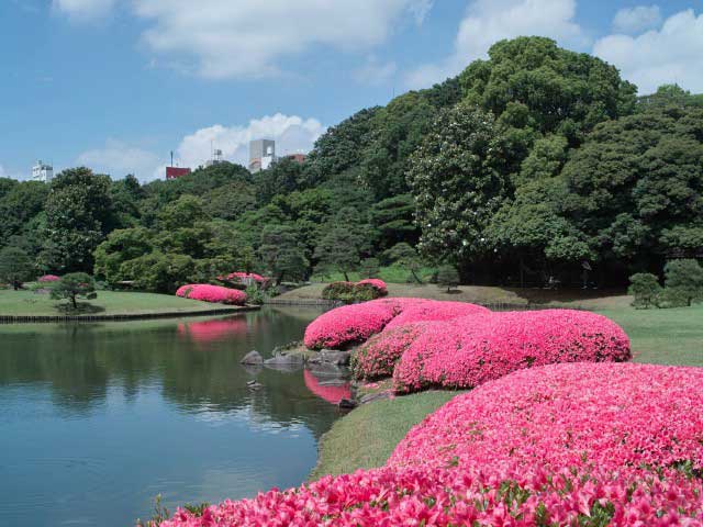 六義園の画像 2枚目