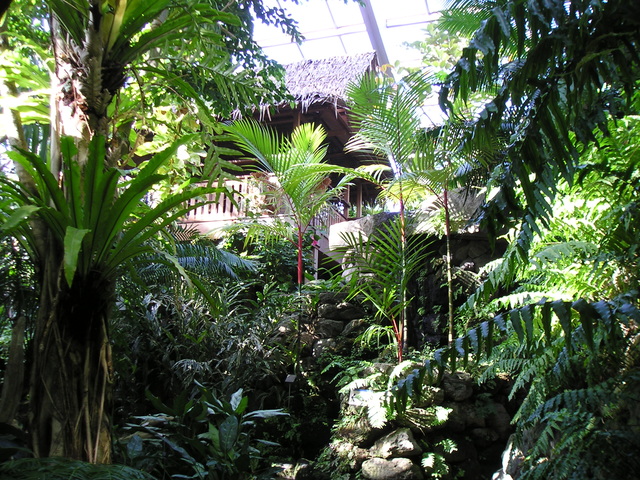 板橋区立 熱帯環境植物館の画像 4枚目