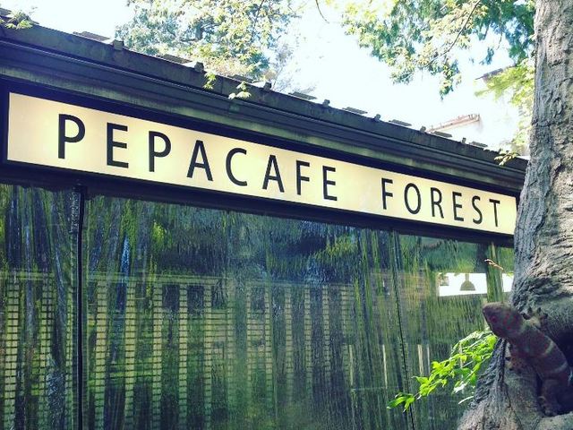 pepacafe FORESTの画像 2枚目