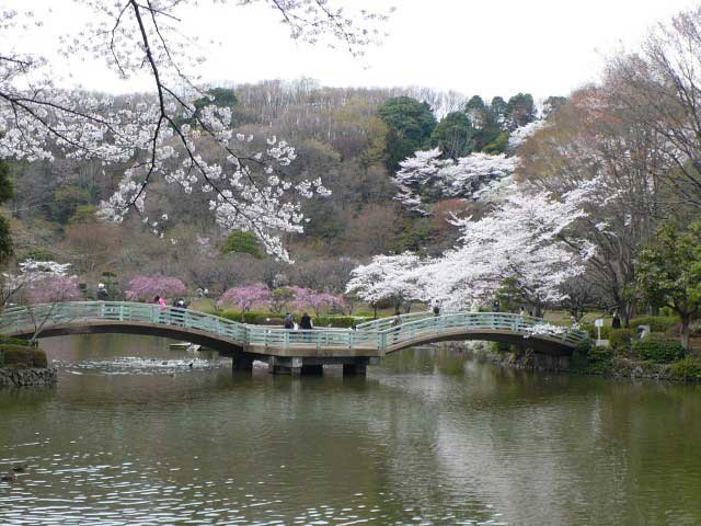 町田薬師池公園 四季彩の杜 薬師池