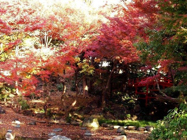 小石川後楽園