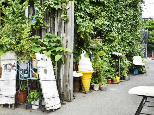 マンヂウカフェ mugimaru2