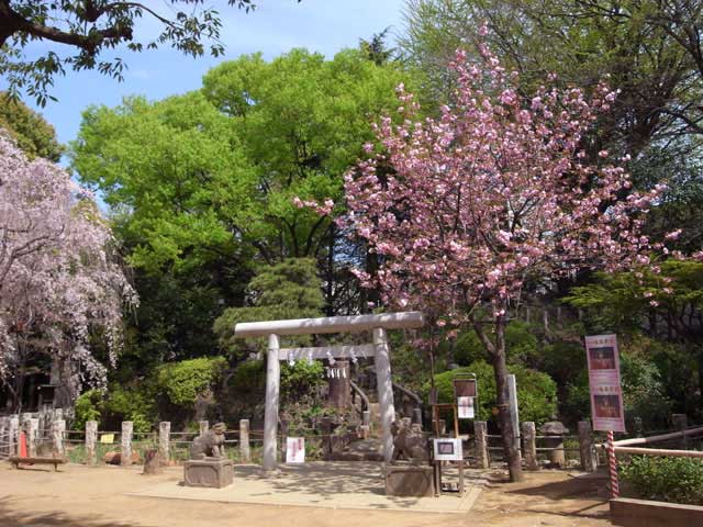 鳩森八幡神社の画像 1枚目