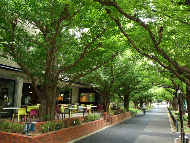 KIHACHI 青山本店の画像 2枚目