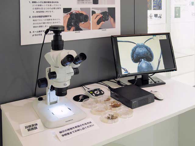 オリンパス技術歴史館「瑞古洞」