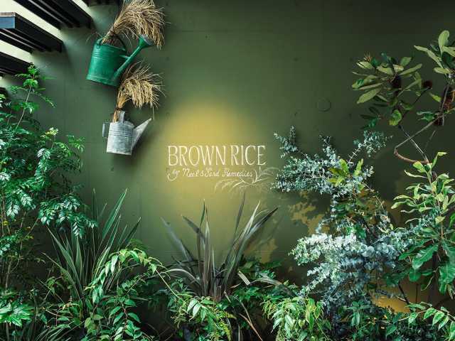 BROWN RICE by NEAL’S YARD REMEDIESの画像 3枚目