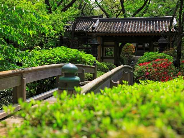 グランドプリンスホテル高輪 日本庭園の画像 4枚目