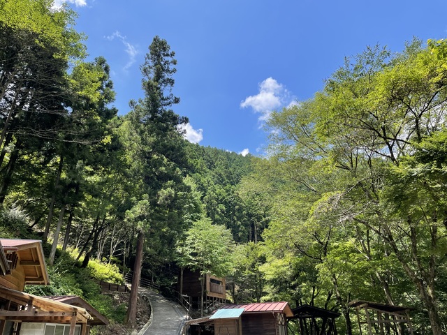 あきる野キャンプ場 ウラルビレッジの画像 2枚目