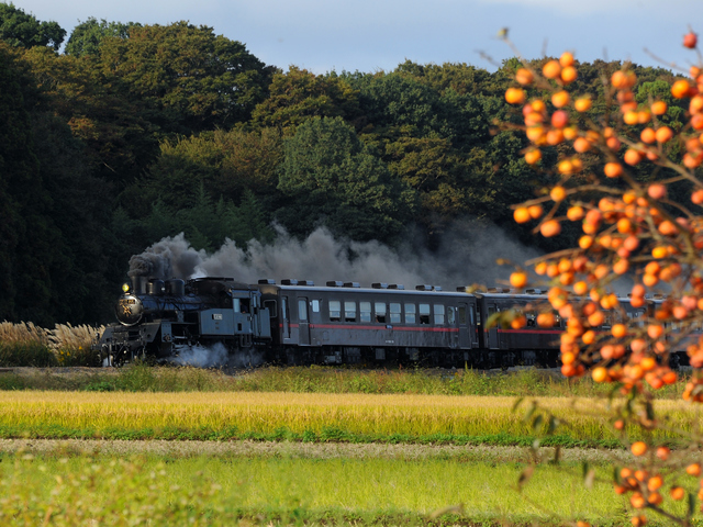SLもおかの画像 2枚目