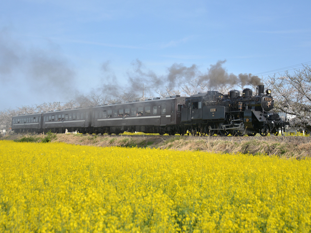SLもおかの画像 1枚目