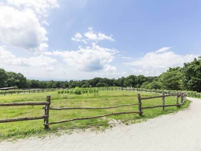 那須高原南ヶ丘牧場の画像 4枚目