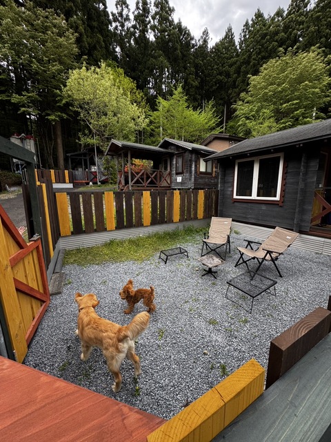 ACNオーキャン宝島の画像 4枚目