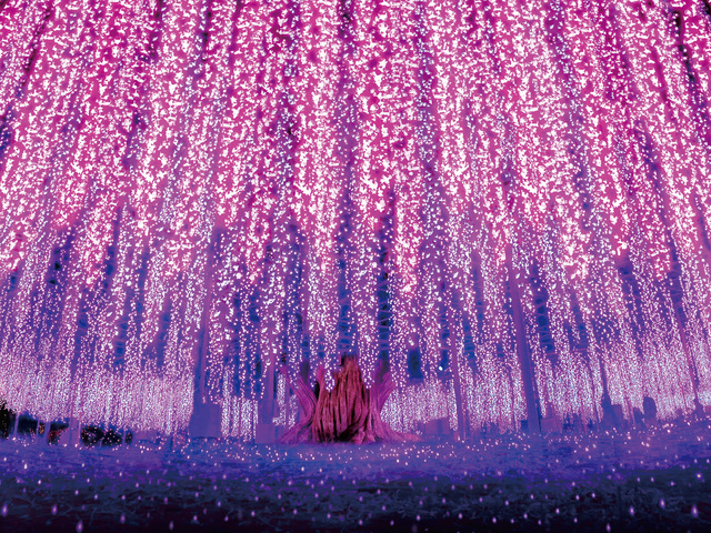 あしかがフラワーパークの画像 4枚目