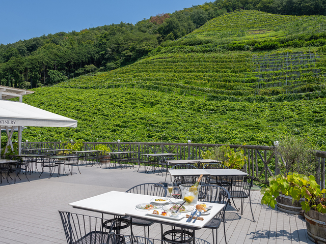 ココ・ファーム・ワイナリーの画像 1枚目