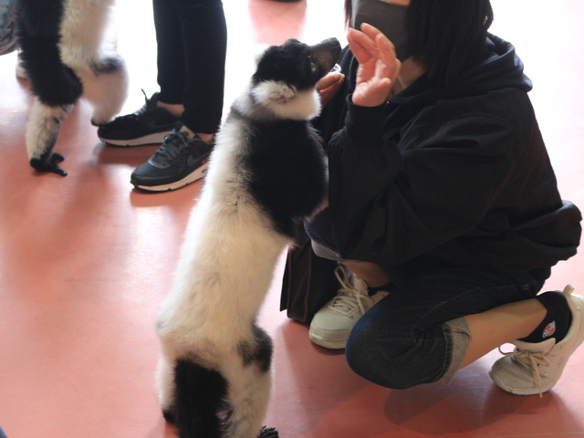 那須ワールドモンキーパークの画像 3枚目