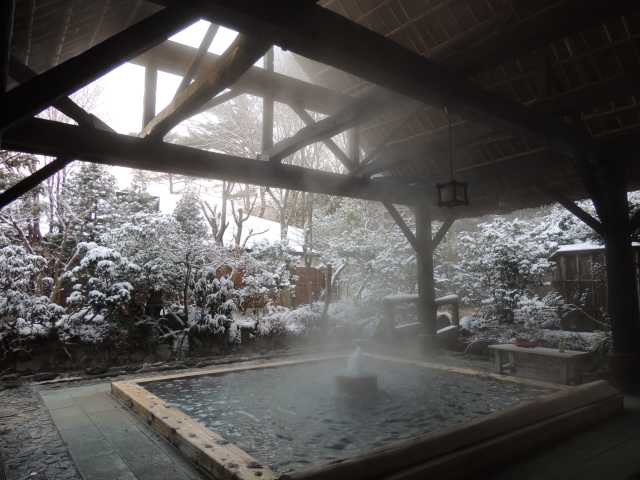 奥那須 大正村幸乃湯温泉(日帰り入浴)