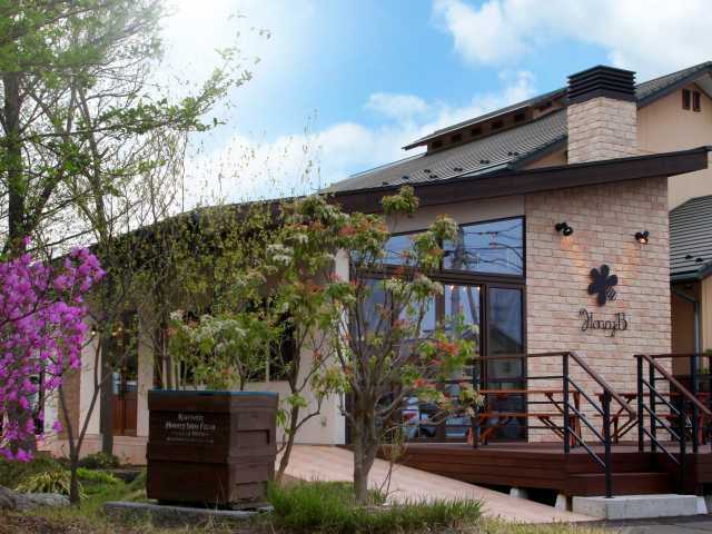 Honey Bの画像 2枚目