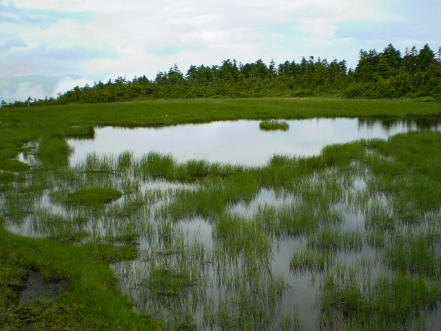 尾瀬国立公園(栃木県)の画像 1枚目