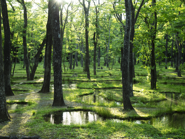 那須 無垢の音の画像 2枚目