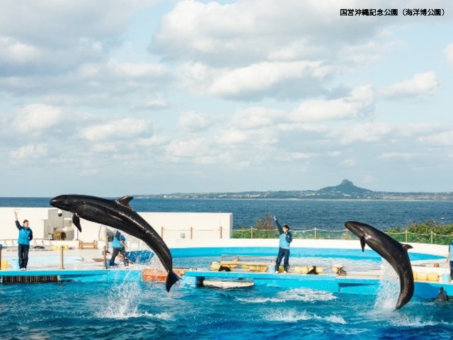 国営沖縄記念公園(海洋博公園)の画像 4枚目