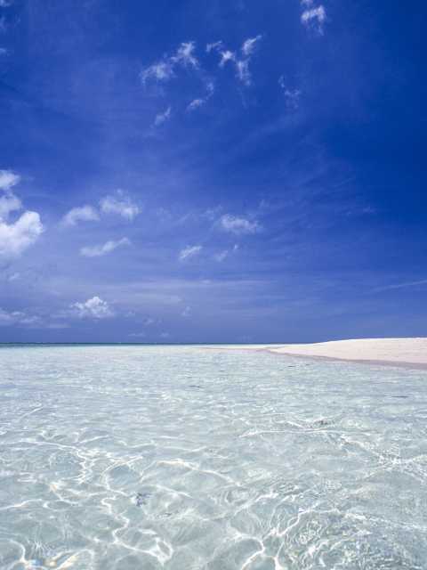 ハテの浜の画像 4枚目
