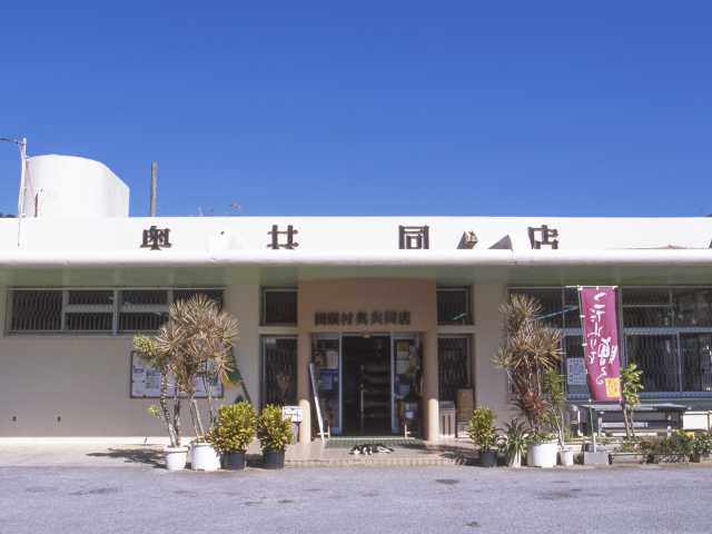 奥共同店