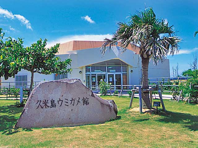 久米島ウミガメ館