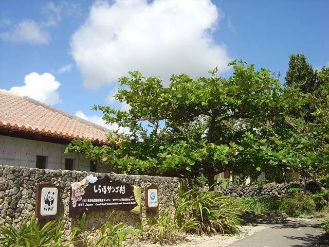 WWFサンゴ礁保護研究センター・しらほサンゴ村